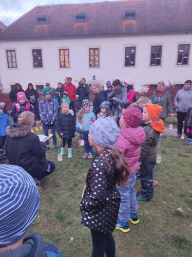 IMG 20231111 161333