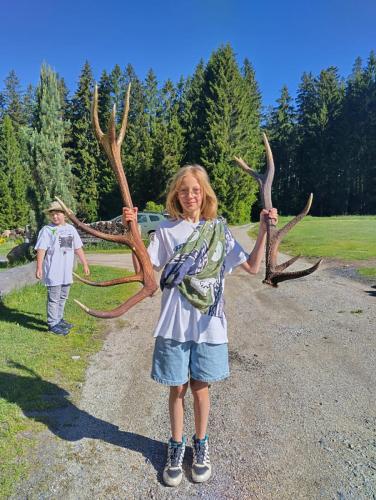 IMG-20260604-WA0011