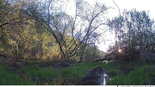 VK CAMERA