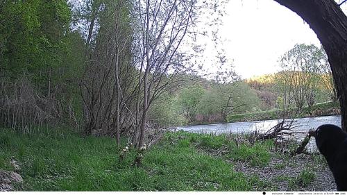 VK CAMERA